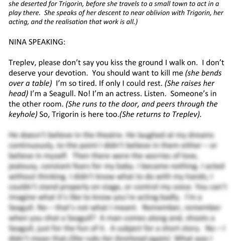 The Seagull (Nina Speaking)